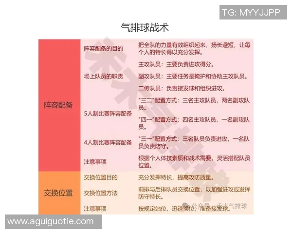 南京排球队节奏对比深度解析与战术探讨 南京排球队节奏对比深度解析与战术探讨