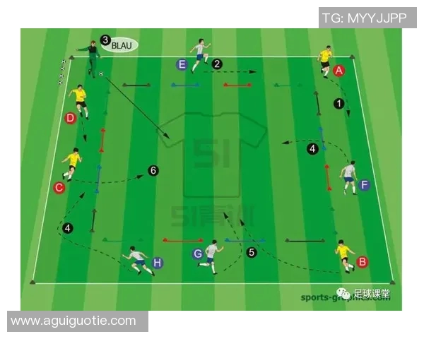 成都篮球队球员个人能力深度对比与战术影响分析 成都篮球队球员个人能力深度对比与战术影响分析