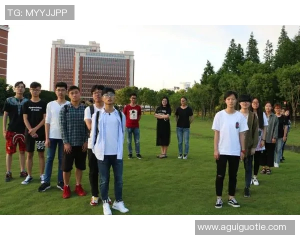 数据分析揭示WE团队成员心理素质表现及其对工作效率的影响