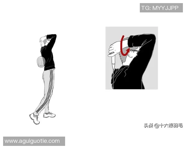 羽毛球新手必看攻略：全面入门技巧与配合训练指南