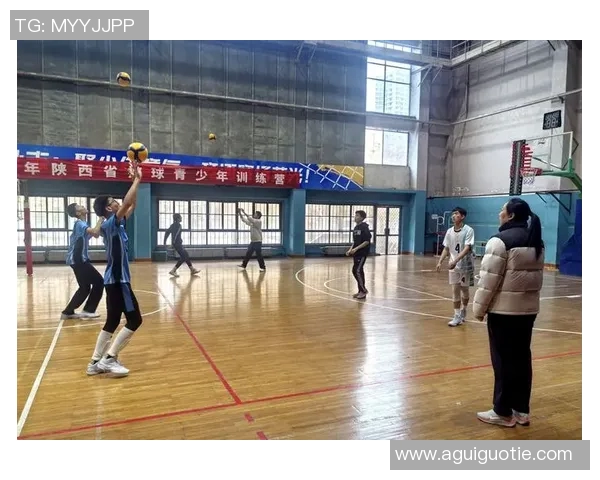 西安排球队技术解析：提升排球竞技水平的关键因素与策略探讨