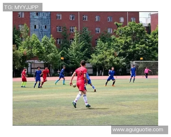 重庆羽毛球队边路渗透战术解析与深度剖析