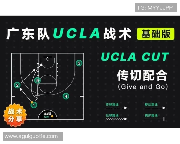 赛后分析：杭州羽毛球队与成都羽毛球队的技术对决与战术解析