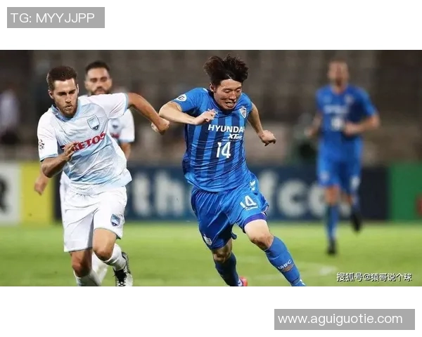 赵伟独家解析足球技巧与战术分享助你提升球场表现