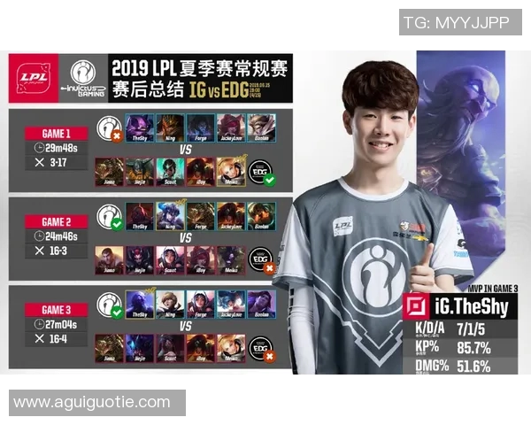 深入分析IG战队的控制打法与战术运用技巧