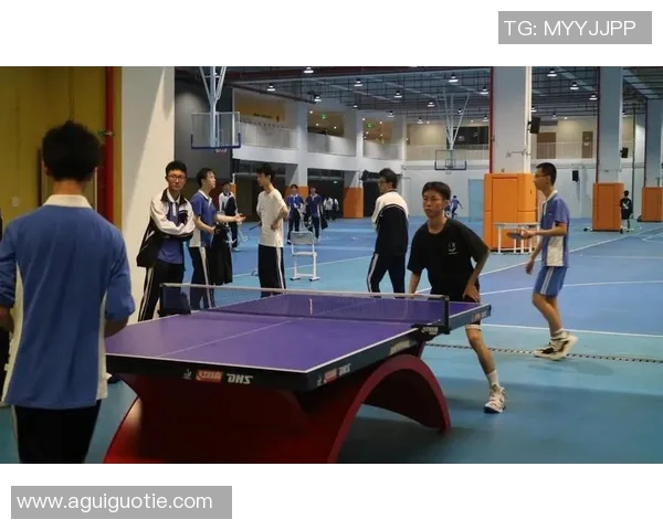 深圳乒乓球队心理素质变革引发热议助力竞技水平提升