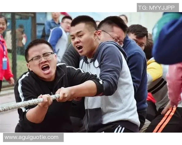 西安网球队的拼搏历程与荣耀时刻全景回顾