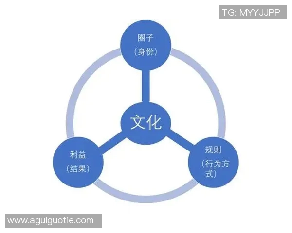 探讨与中之间的文化差异与价值观碰撞的深层次意义