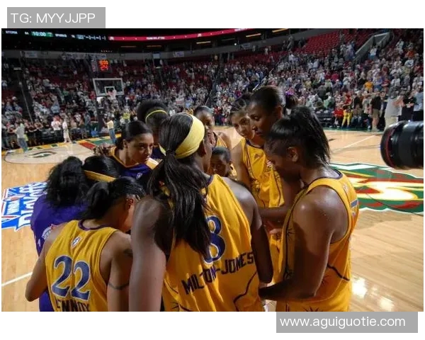 火花与风暴的激烈对决文字直播全程回顾与精彩瞬间分享