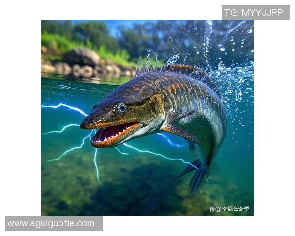 发电机与南部鲨鱼的较量谁能在力量与智慧中胜出