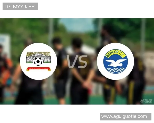 荷兰与北爱尔兰比赛前瞻及胜负预测分析