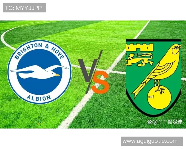 诺维奇布莱顿迎战诺丁汉全力争胜的精彩对决分析 诺维奇布莱顿迎战诺丁汉全力争胜的精彩对决分析