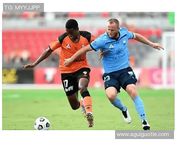 2019年惠灵顿凤凰与墨尔本城的精彩对决回顾与分析