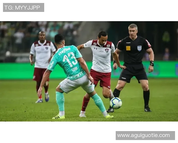 帕尔梅拉丝与弗拉门戈的巅峰对决谁将赢得巴西足球的荣耀