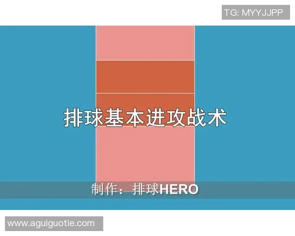 杭州排球队中路突破战术解析与实战应用探讨