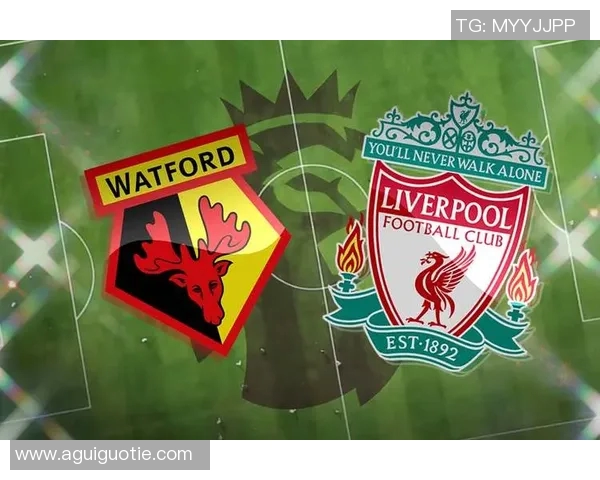 沃特福德与利物浦精彩对决回放全场集锦及赛后分析