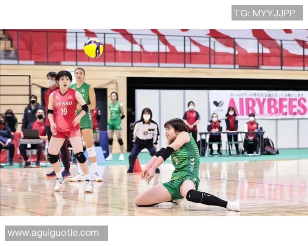 深圳排球队在洲际杯中的耐力表现分析与点评