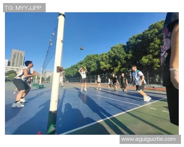 武汉排球队现状分析与未来展望聚焦排球运动发展与团队建设