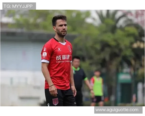 成都足球队个人能力分析与表现评估的深度研究